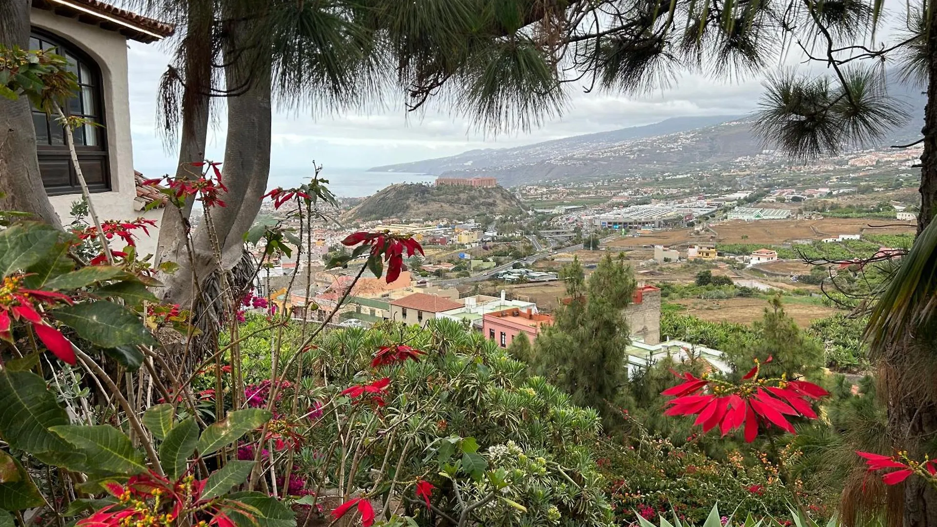 Appartement Avec Vue Sur La Mer Puerto de la Cruz  Apartment Puerto de la Cruz (Tenerife)